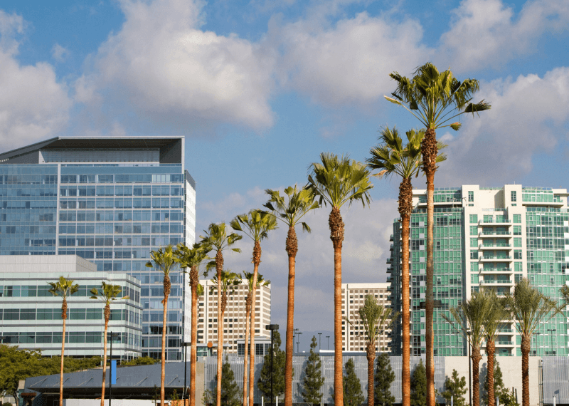 The Best Movers in irvine Working with iMoving